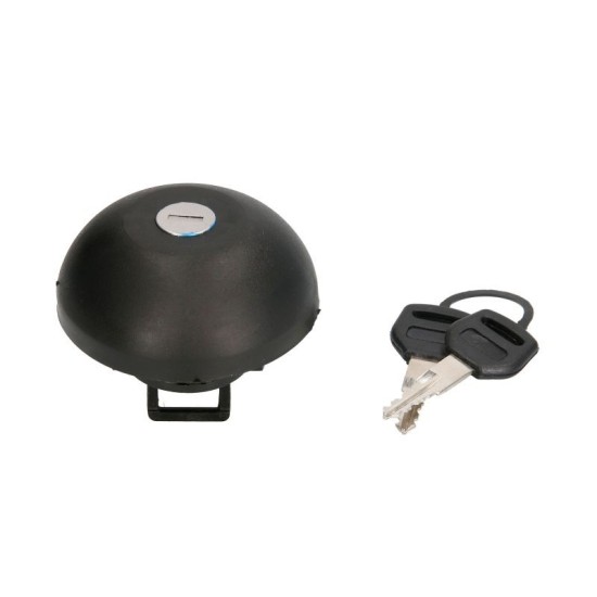 Cap cu cheie filtru combustibil DACIA LOGAN, RENAULT CLIO, LAGUNA, MEGANE, SCENIC, TWINGO intre 1993-2012