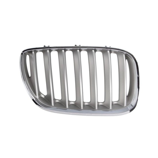 Grila fata dreapta titanium BMW X5 E53 intre 2003-2006
