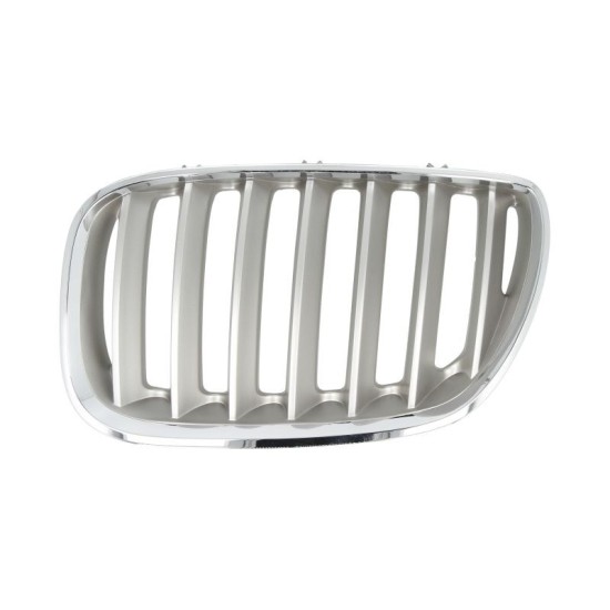 Grila fata stanga titanium BMW X5 E53 intre 2003-2006