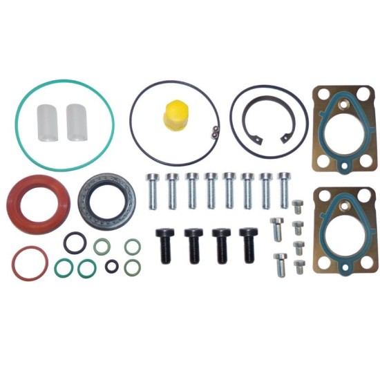 Set reparatie pompa combustibil (2 section, complet, DELPHI) potrivit JEEP CHEROKEE, COMPASS, PATRIOT, MG MG ZR