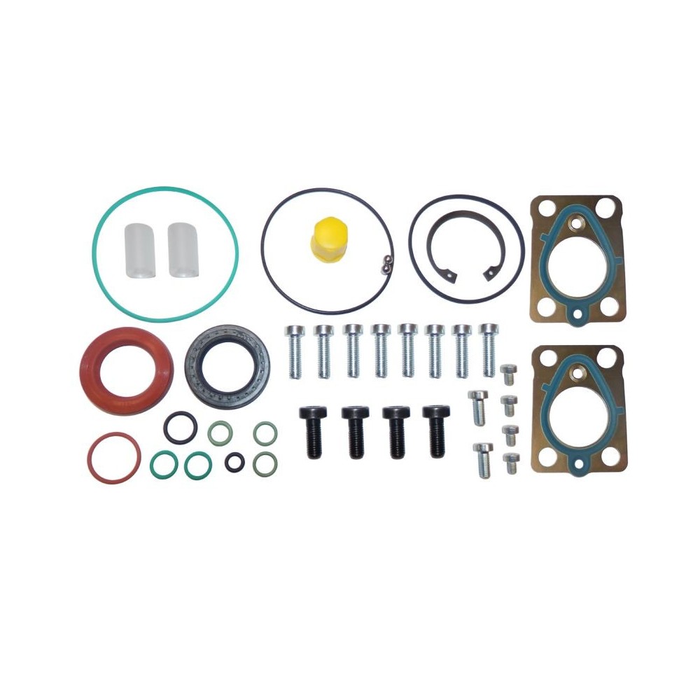 Set reparatie pompa combustibil (2 section, complet, DELPHI) potrivit JEEP CHEROKEE, COMPASS, PATRIOT, MG MG ZR