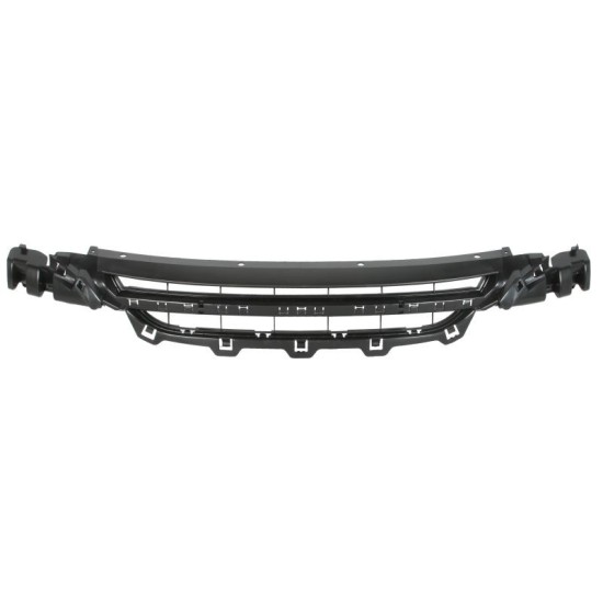 Grila bara fata mijloc BMW Seria 1 (F20), 1 (F21) intre 2010-2015